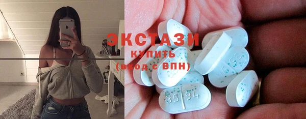 индика Осташков