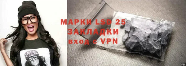индика Осташков
