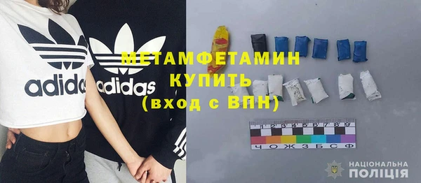 трава Осинники