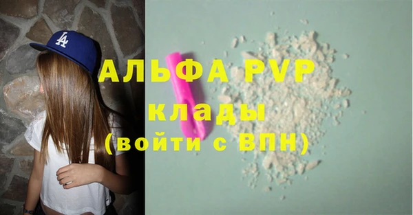 трава Осинники