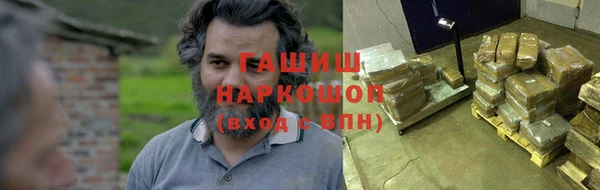 индика Осташков