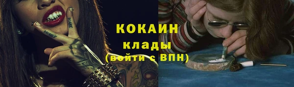 трава Осинники