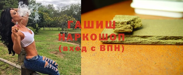 индика Осташков