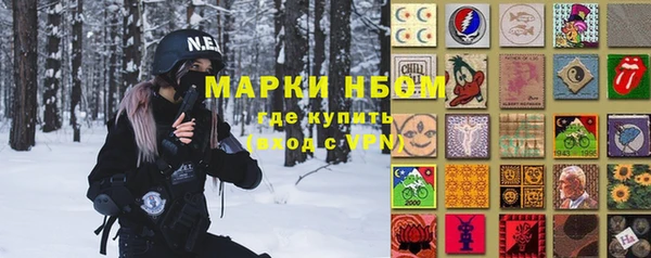 индика Осташков