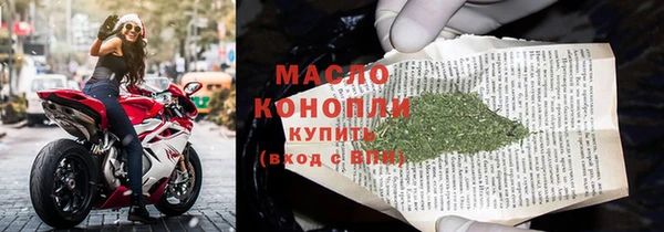 индика Осташков