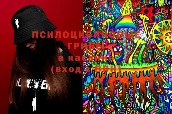 индика Осташков