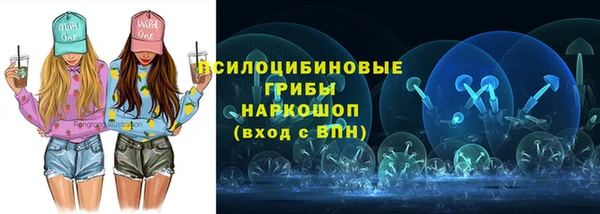 индика Осташков