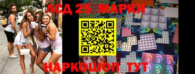 мяу мяу мука Аргун