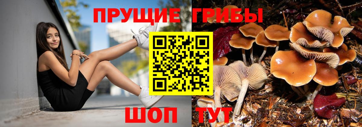 Галлюциногенные грибы мицелий Нефтекамск