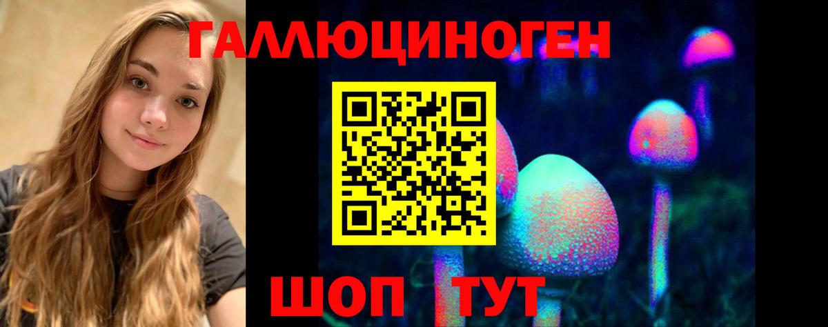 Галлюциногенные грибы Psilocybe  Нефтекамск 